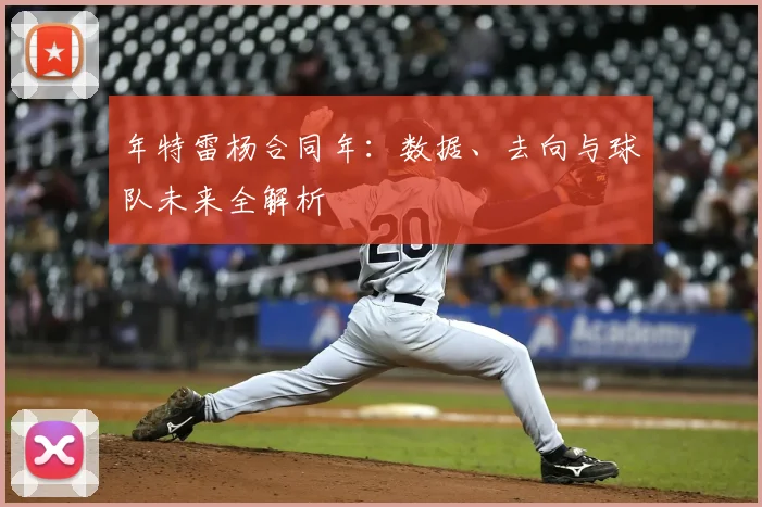 年特雷杨合同年：数据、去向与球队未来全解析