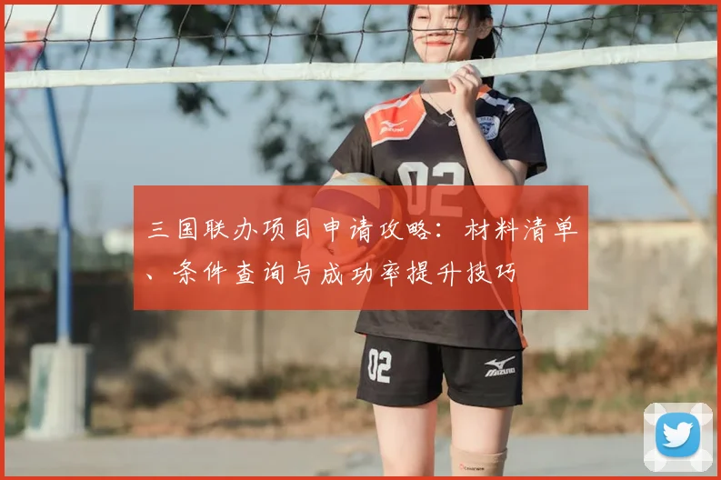 三国联办项目申请攻略：材料清单、条件查询与成功率提升技巧