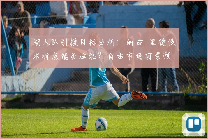 湖人队引援目标分析：纳兹-里德技术特点能否适配？自由市场前景预测